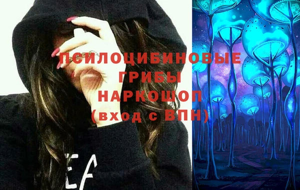 спайс Горняк